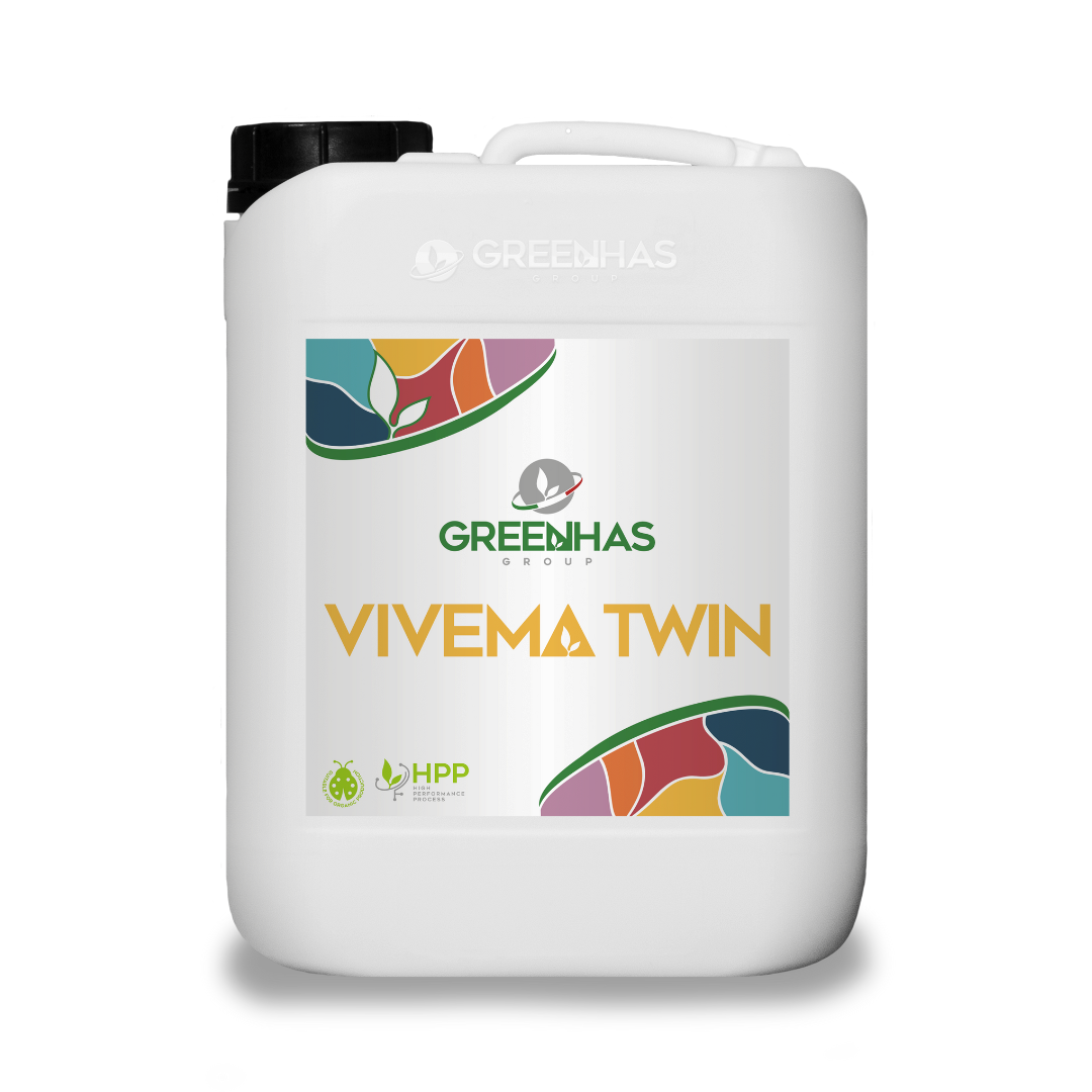 VIVEMA-TWIN.png