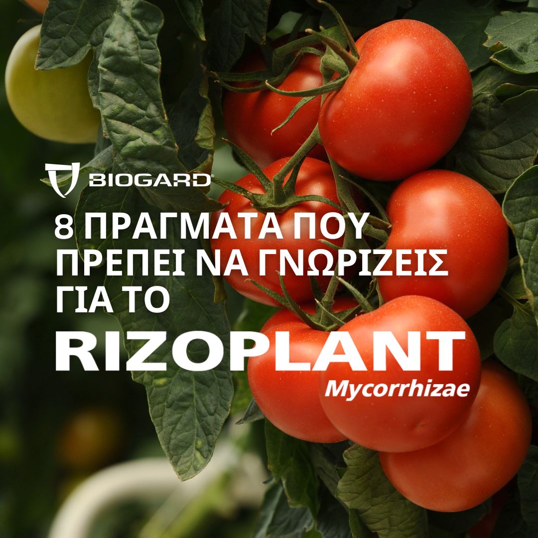 xr:d:DAFiT9KMyEc:14,j:46771239724,t:23050913