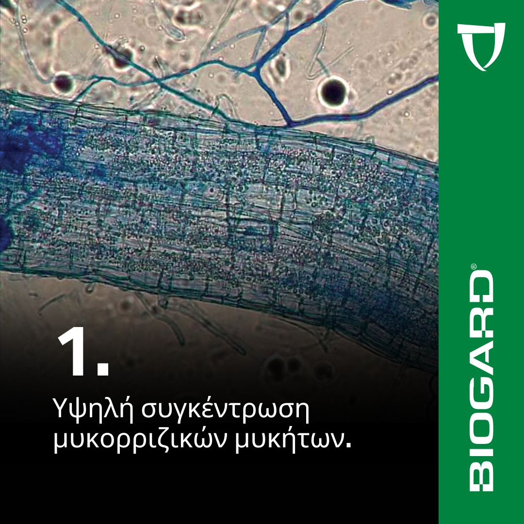 xr:d:DAFiT9KMyEc:14,j:46771239724,t:23050913