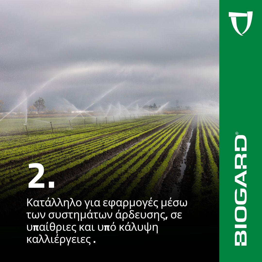 xr:d:DAFiT9KMyEc:14,j:46771239724,t:23050913