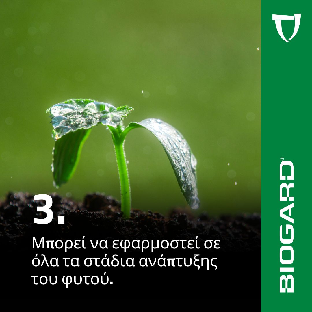 xr:d:DAFiT9KMyEc:14,j:46771239724,t:23050913