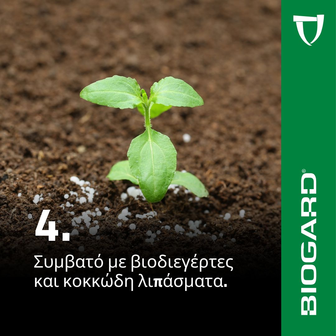 xr:d:DAFiT9KMyEc:14,j:46771239724,t:23050913