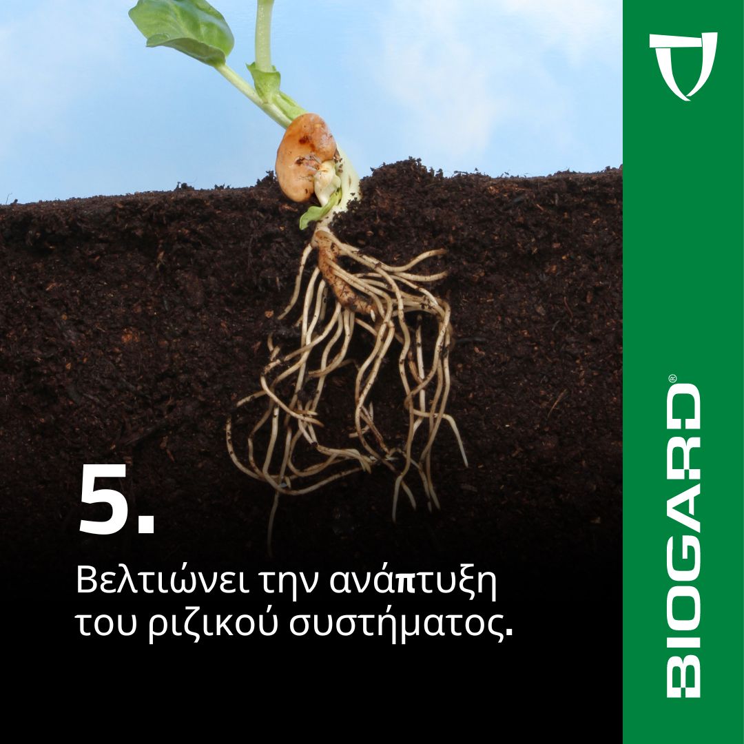 xr:d:DAFiT9KMyEc:14,j:46771239724,t:23050913