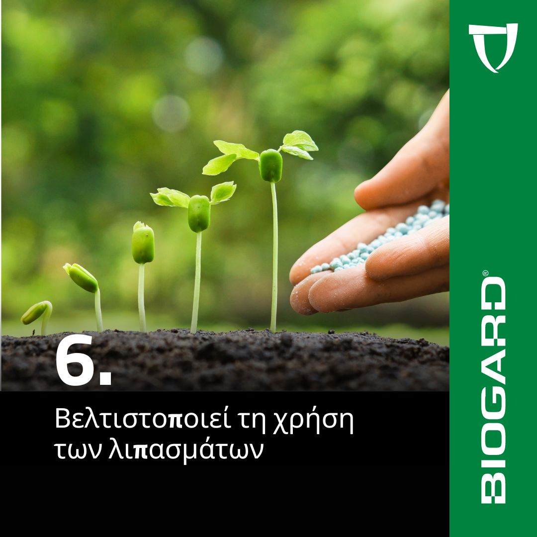 xr:d:DAFiT9KMyEc:14,j:46771239724,t:23050913