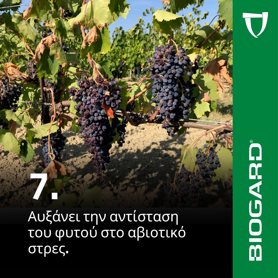 xr:d:DAFiT9KMyEc:14,j:46771239724,t:23050913