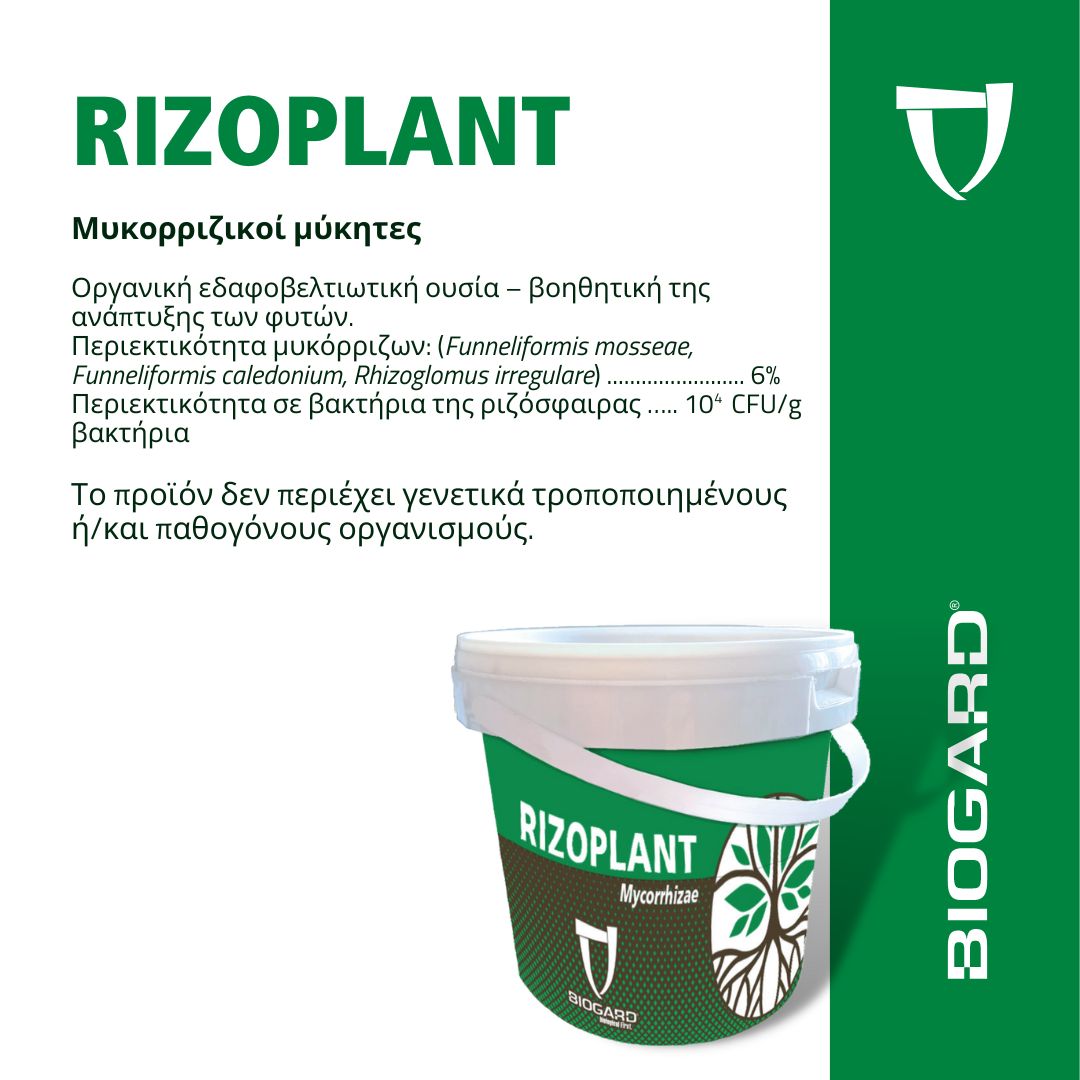 xr:d:DAFiT9KMyEc:14,j:46771239724,t:23050913